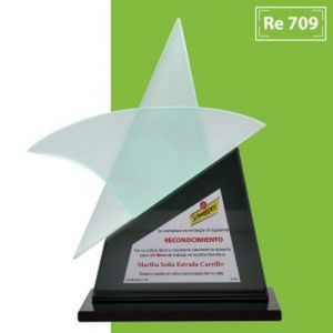 RECONOCIMIENTO DE CRISTAL JADE CON ESTRELLA  GRANDE SATINADA  Y BASE DE CRISTAL NEGRO  TAMAÑO 20. X 25.5 CM CON LAMINA METALICA CON IMPRESIÓN SHINE COLOR MEDIDA 12 X 10CM